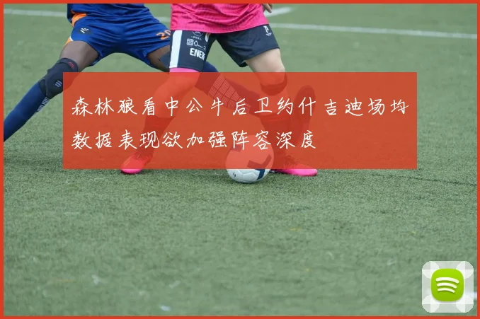 森林狼看中公牛后卫约什吉迪场均数据表现欲加强阵容深度