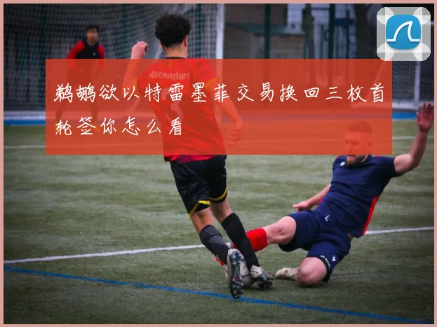 鹈鹕欲以特雷墨菲交易换回三枚首轮签你怎么看