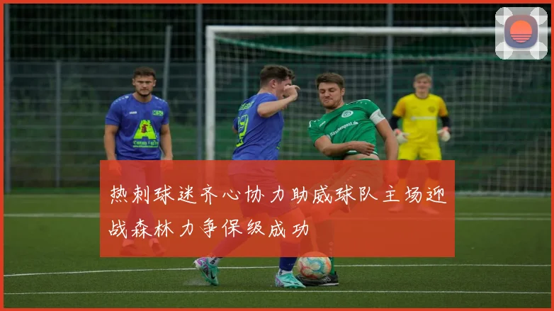热刺球迷齐心协力助威球队主场迎战森林力争保级成功