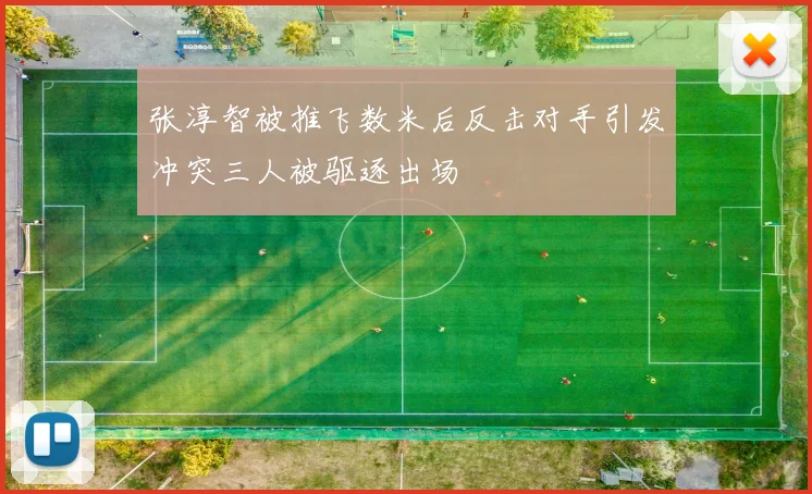张淳智被推飞数米后反击对手引发冲突三人被驱逐出场